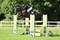 Lucy Townley Tops the Podium at Bicton Redpost Equestrian Senior Foxhunter Second Round 